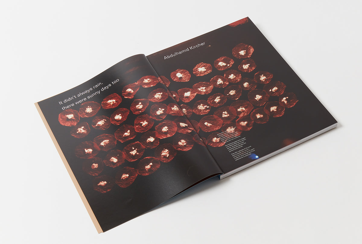 Classification Photojournal True Photo Journal, Issue Eight (2023)
