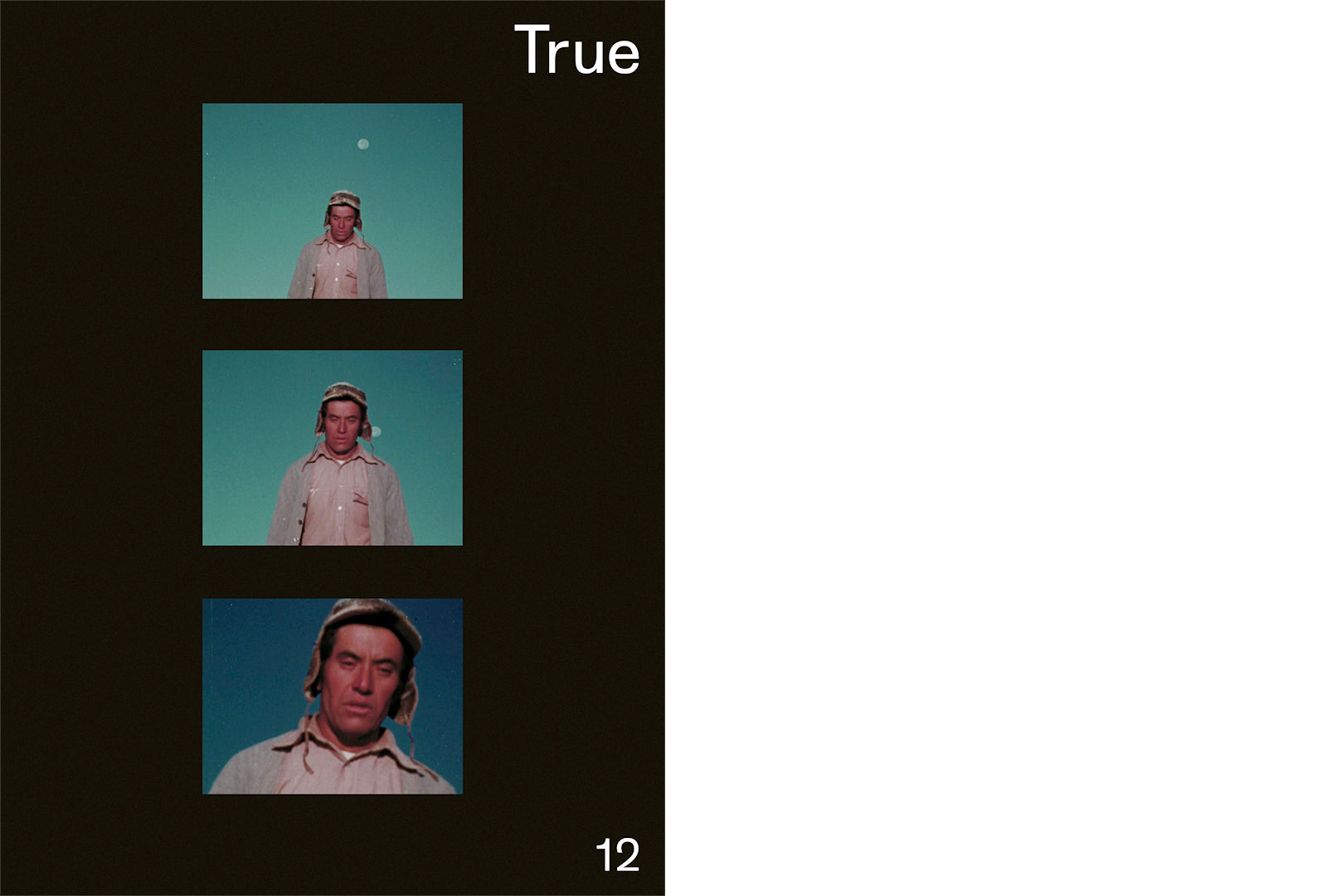 Classification Photojournal True Photo Journal, Issue Twelve (2025)