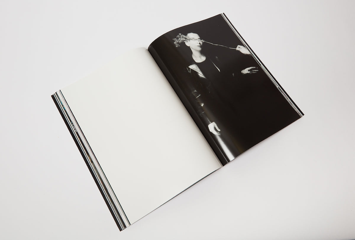 Classification Photojournal True Photo Journal, Issue Two (2016)